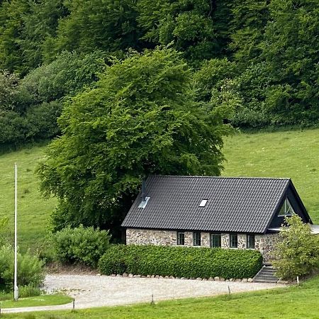 Stenhuset I Pilbrodalen Сканнерборґ Екстер'єр фото